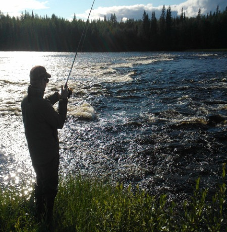 Jankakoira_flyfishing