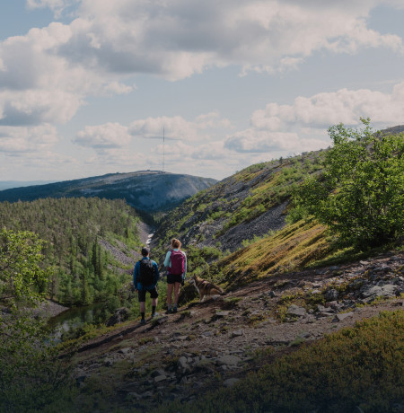 Two hikers in the national park during summer