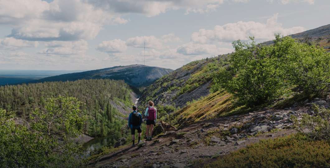 Two hikers in the national park during summer
